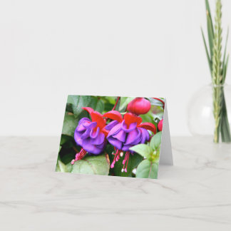 Notecard Fuschia Kort