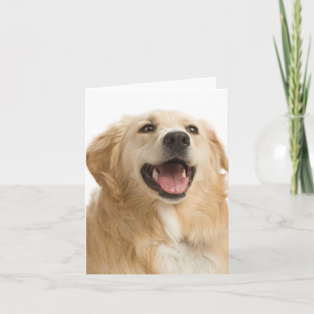 Notecard Golden Retriever Puppy Hund Blank Hälsnin Kort (Framsida)