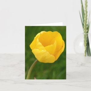 Notecard gul tulpan kort