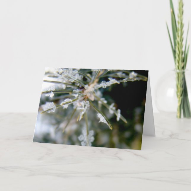NOTECARD iskristaller på Spruce nålar 1 Kort (Framsida)