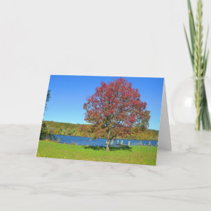 Notecard Kort