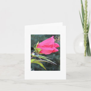 Notecard med den briljant röda blomman kort