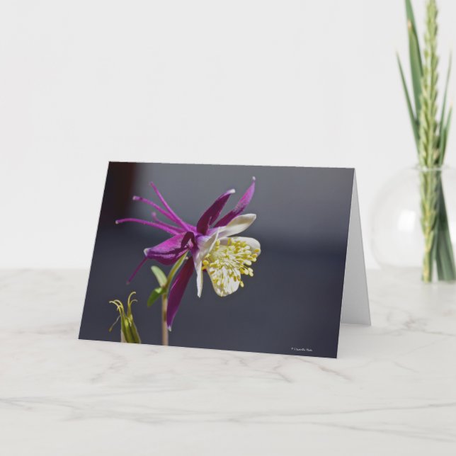 Notecard med den minneColumbine blomman Kort (Framsida)