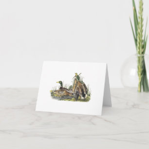 Notecard med gräsandankan bygga bo kort
