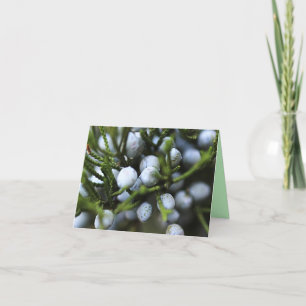 Notecard med Juniper Berries Kort