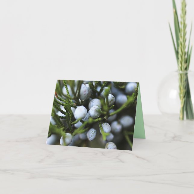 Notecard med Juniper Berries Kort (Framsida)