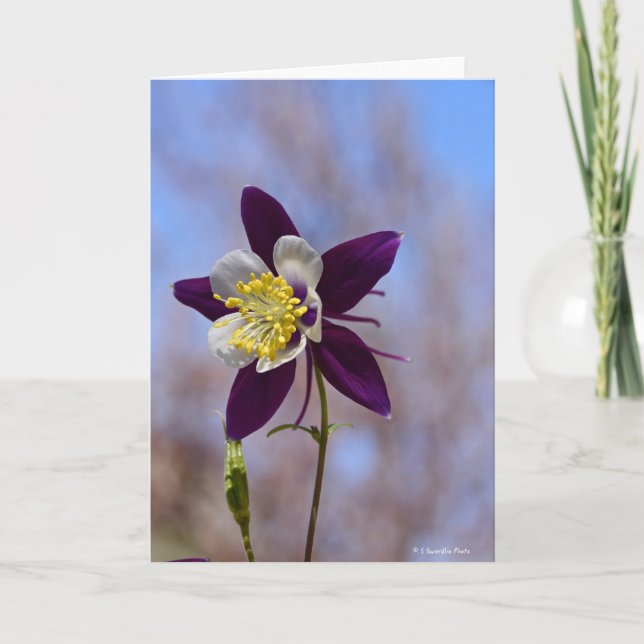 Notecard med minnet Columbine Kort (Framsida)