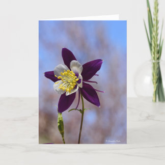 Notecard med minnet Columbine Kort