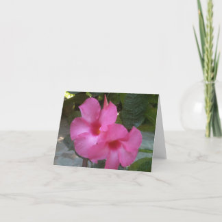 Notecard med rosa blommor kort