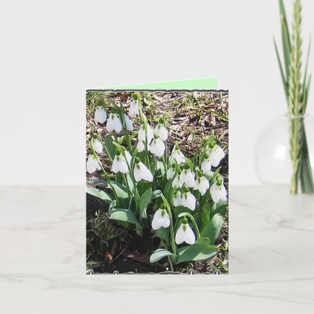Notecard med Snowdrops! Kort (Framsida)