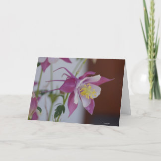 Notecard med songbirden Columbine Kort