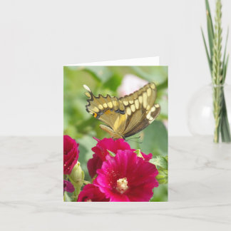 Notecard med Swallowtail Butterfly Kort