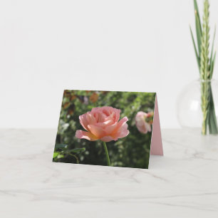 Notecard med vackra Coral Ro Kort