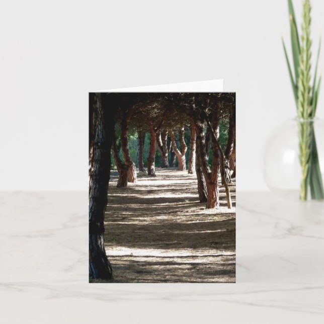 Notecard: Minorca Wood Kort (Framsida)