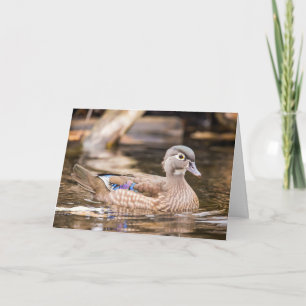 Notecard över honträ Anka Kort