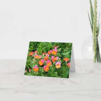Notecard Pink and Orange Flowers Kort