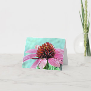 Notecard - Rosa Coneflower Kort