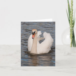 Notecard: Stum svan "för nåd" manlig Kort