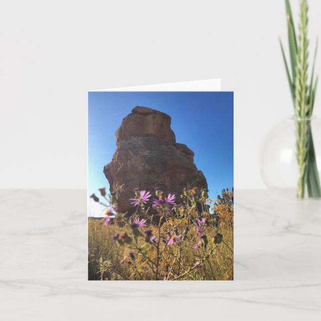 Notecard uggla sten (tomt inuti) kort (Framsida)