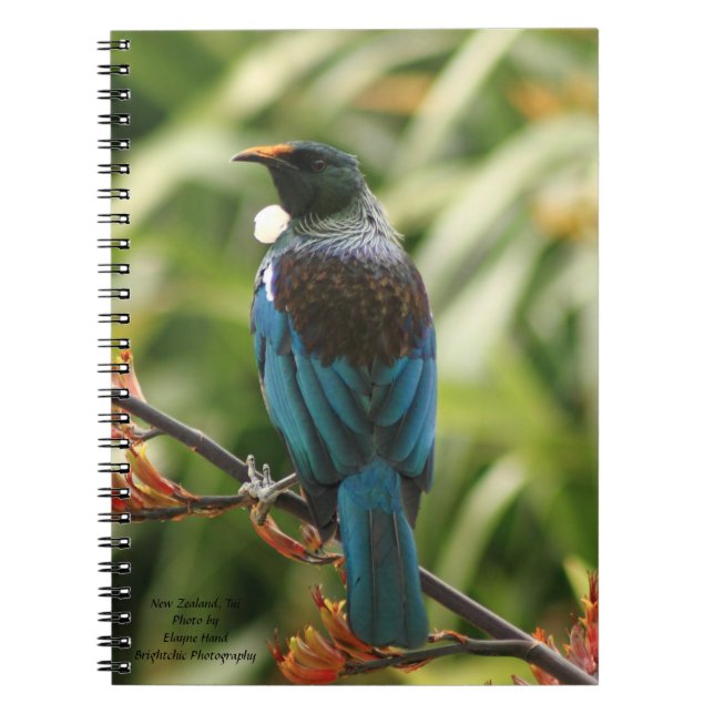 Notera boken, den nyazeeländska Tui fågeln Anteckningsbok Med Spiral (Framsidan)