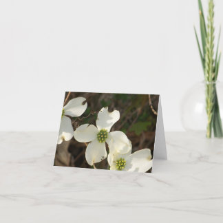 Notera kortDogwoods Kort