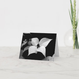 Notera kortet - B-/WDogwood Tack Kort