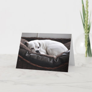 Notera kortet: Boxarehund Kort