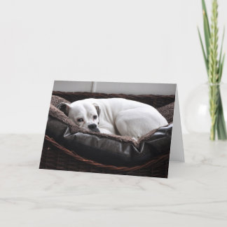 Notera kortet: Boxarehund Kort
