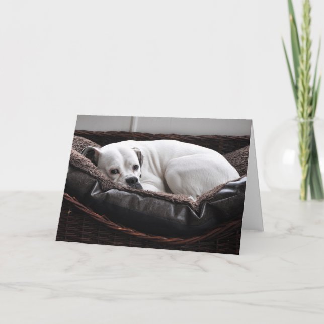 Notera kortet: Boxarehund Kort (Framsida)