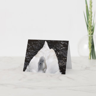 Notera kortet: Cygnet på svan baksida Kort