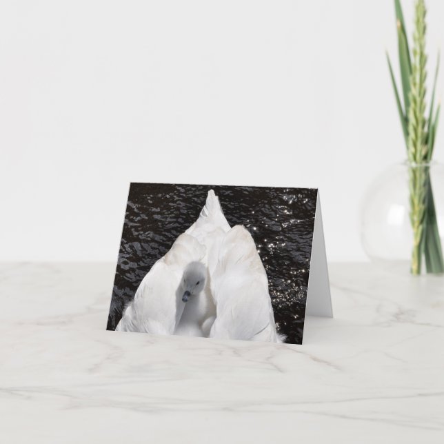 Notera kortet: Cygnet på svan baksida Kort (Framsida)