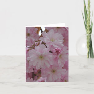 Notera kortet: Körsbärsröda blommar Kort