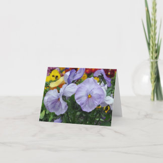 Notera kortet: Liliac Pansies Kort