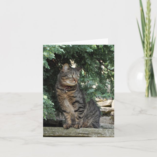 Notera kortet: Minnie Kort (Framsida)