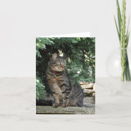 Notera kortet: Minnie Kort