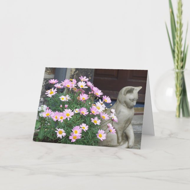 Notera kortet: Rosa daisy Kort (Framsida)
