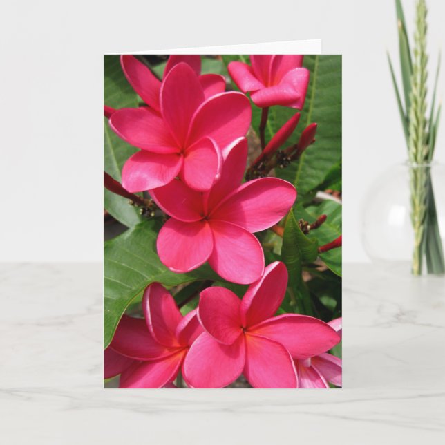 notera kortet - rosa plumerias kort (Framsida)