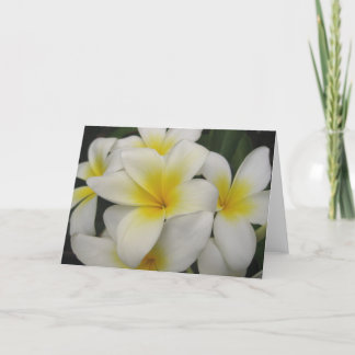 notera kortet - vitplumerias kort