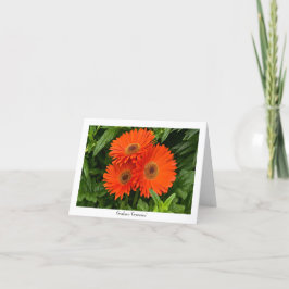 Noterar den Collectible hälsningen för den orange Kort