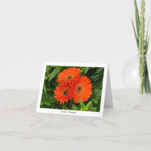 Noterar den Collectible hälsningen för den orange Kort