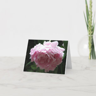 Noterar den rosa pionen för klassikern kort