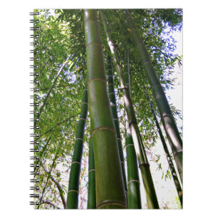 Noterar den trädgårds- bambuskogen för japanen anteckningsbok med spiral