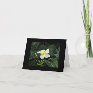 "Noterar fem Petals" kortet Kort