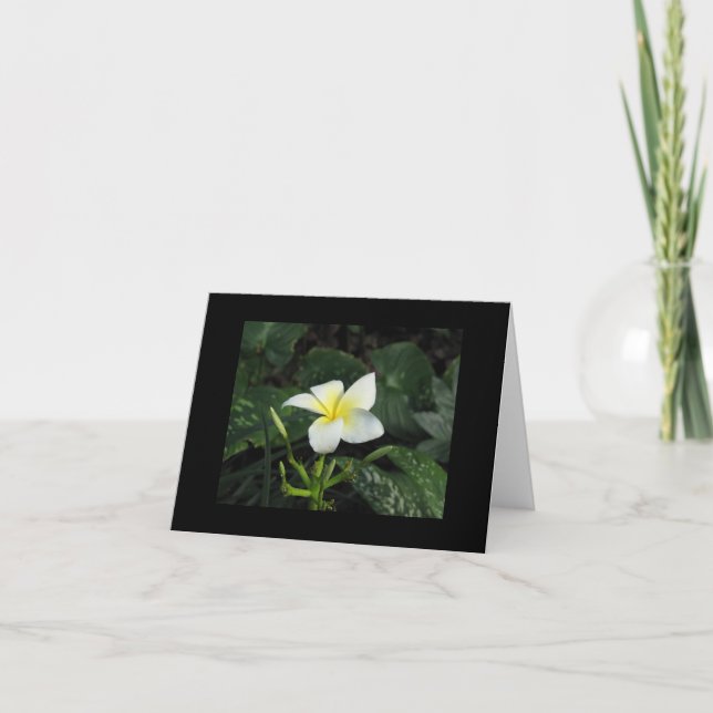 "Noterar fem Petals" kortet Kort (Framsida)