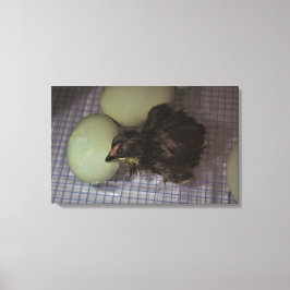 Noterar gammalt canvastryck