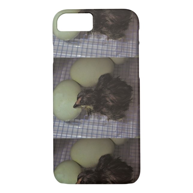 Noterar gammalt Case-Mate iPhone skal (Baksida)