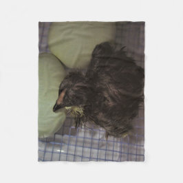 Noterar gammalt fleecefilt