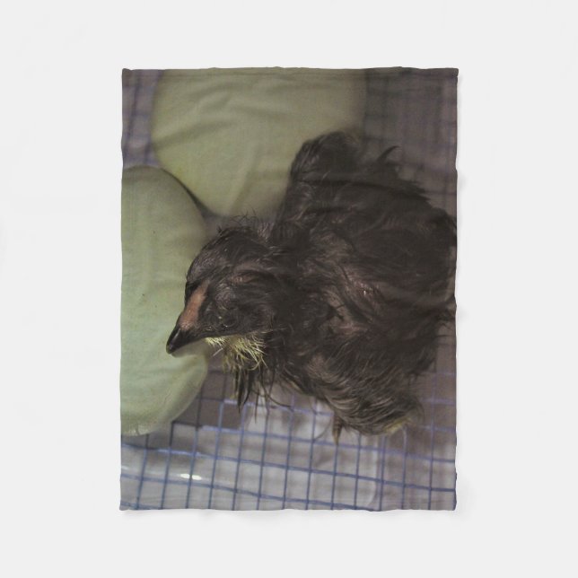 Noterar gammalt fleecefilt (Framsidan)