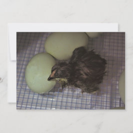 Noterar gammalt inbjudningar