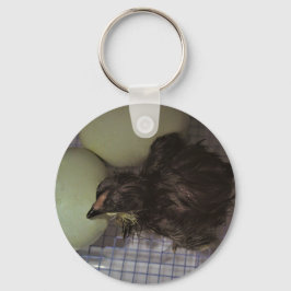 Noterar gammalt nyckelring